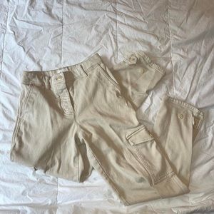Aritzia Cargo Pants